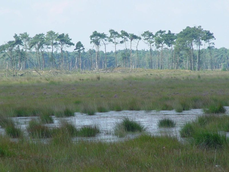 Camping/Caravanpark De Staartse Duinen