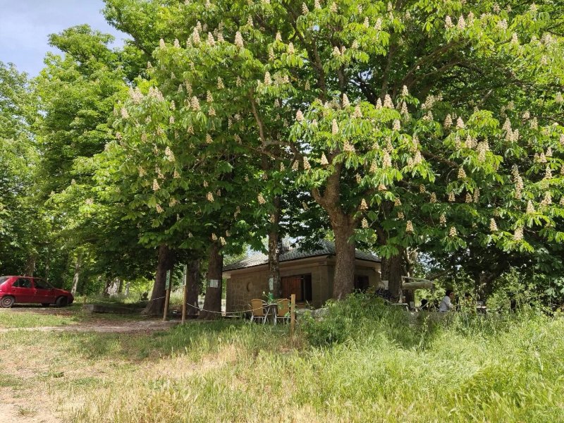 Fuente Del Seminario Quiosco