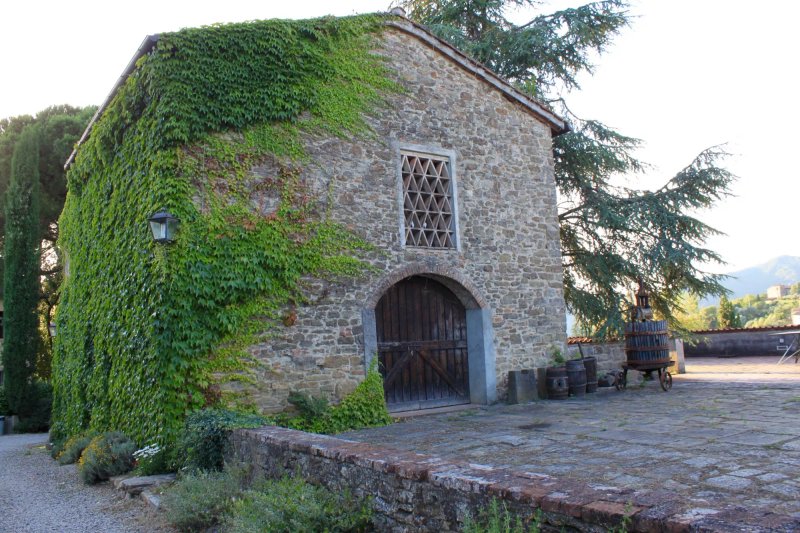Azienda Agricola Frascole
