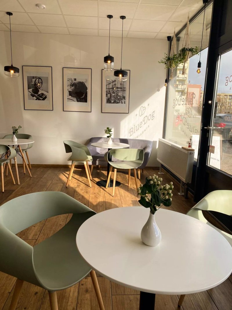 Kawiarnia Blue Dog Cafe