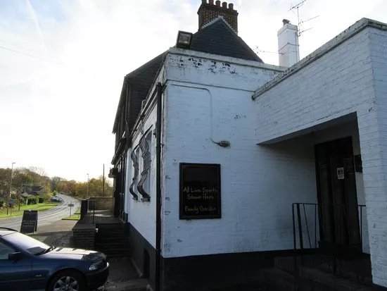 The Gamecock