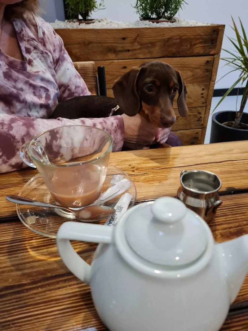 T1 Cafe Lounge