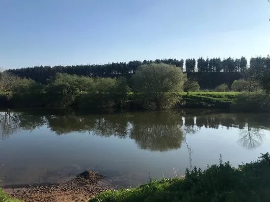 The Wharf Caravan Park