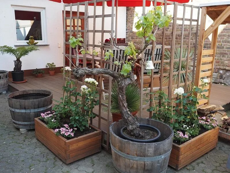 Vacation apartment that combines the old with the new, near Zülpich, in a rural