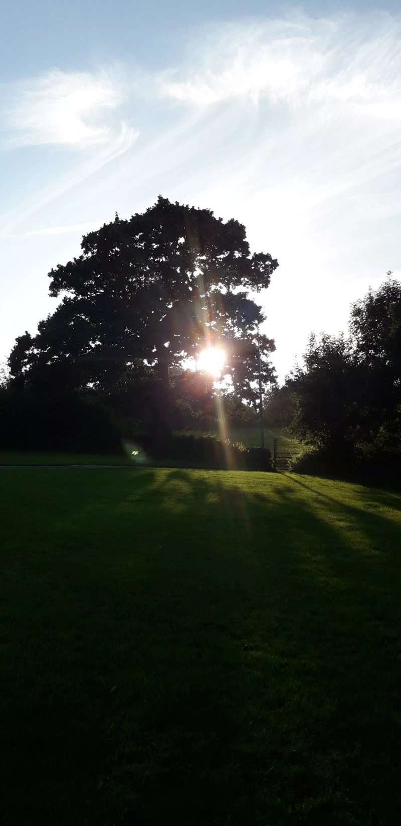 Birchwood Farm Caravan & Camping Site