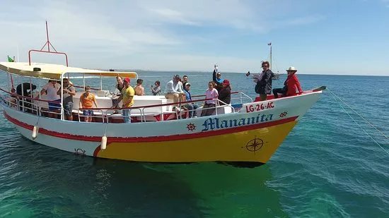 Boatrips - Boat Trips and Tours