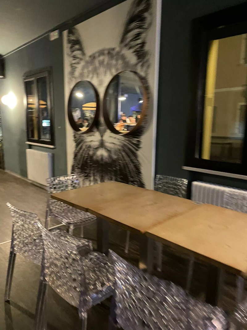 American Bar Kokonuts