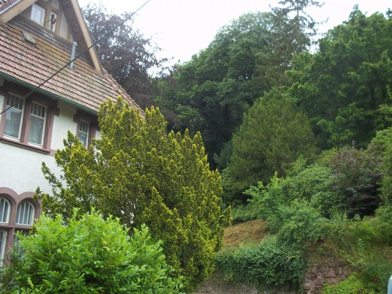 Pension im Park