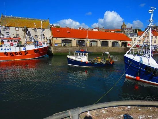 Pittenweem Harbour