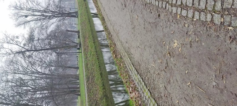 Park Miejski w Brzegu Dolnym