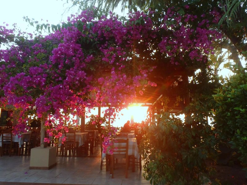 Fournia Village