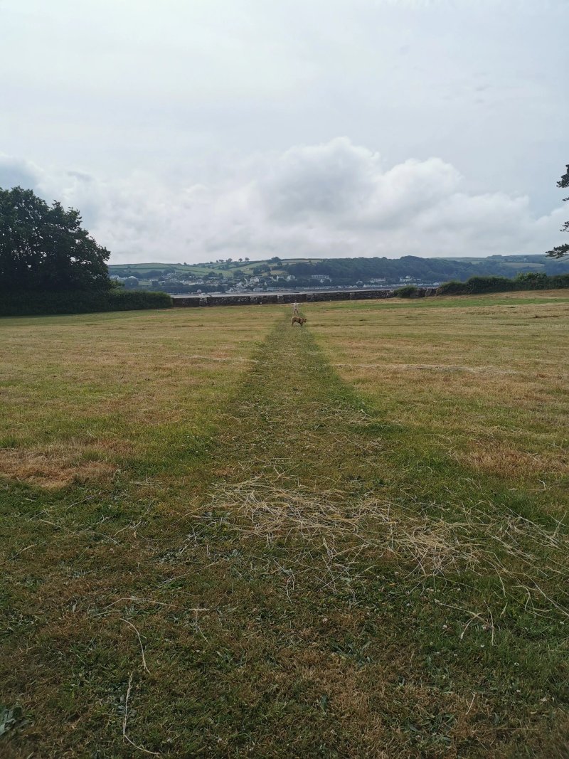 The Cottage Fields Llansteffan