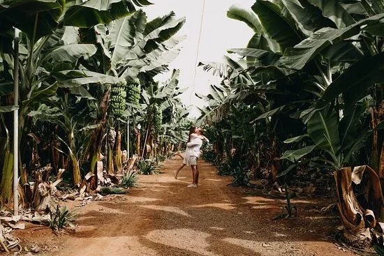 Tenerife Wedding Planner