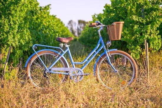 Beach Bikes - Location de Velo - Saint Palais sur Mer