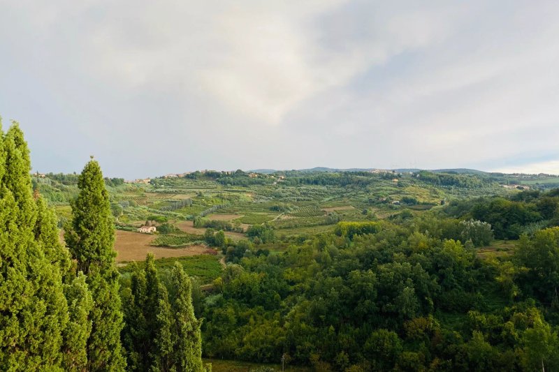 Vecchia Fattoria Castelli
