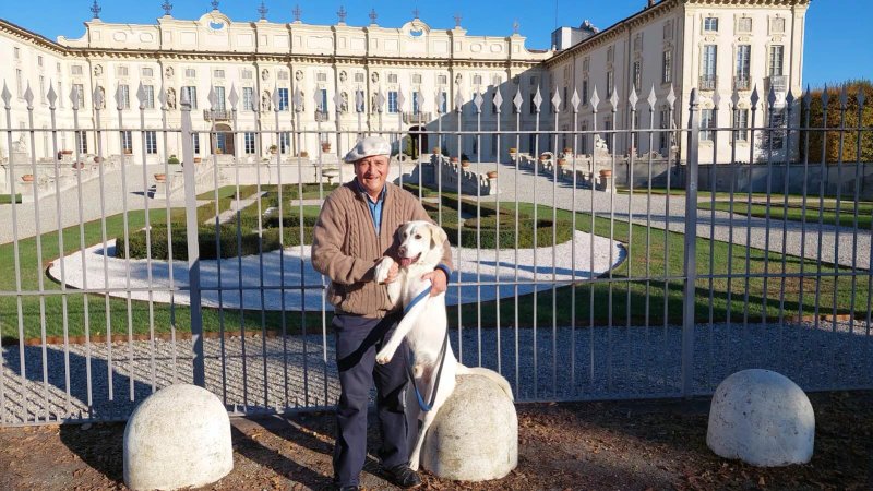 Villa Arconati Visconti, Arese, Bay, Maccari