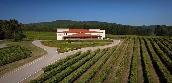 Bodegas Terras Gauda