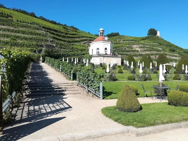 Cozy apartment with a view of the vineyards in a top location