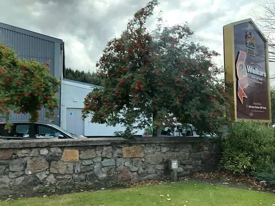 Dailuaine Distillery