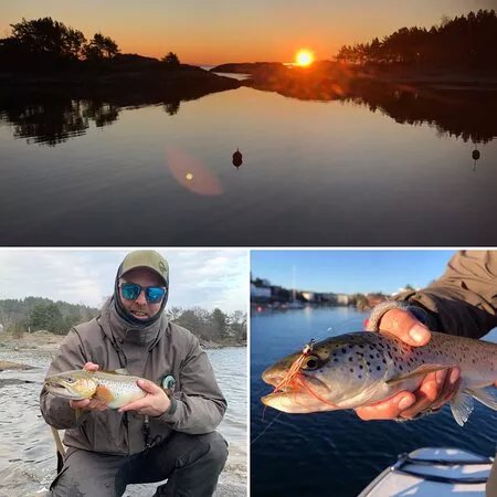 Sorlandet Fiskeguiding AS