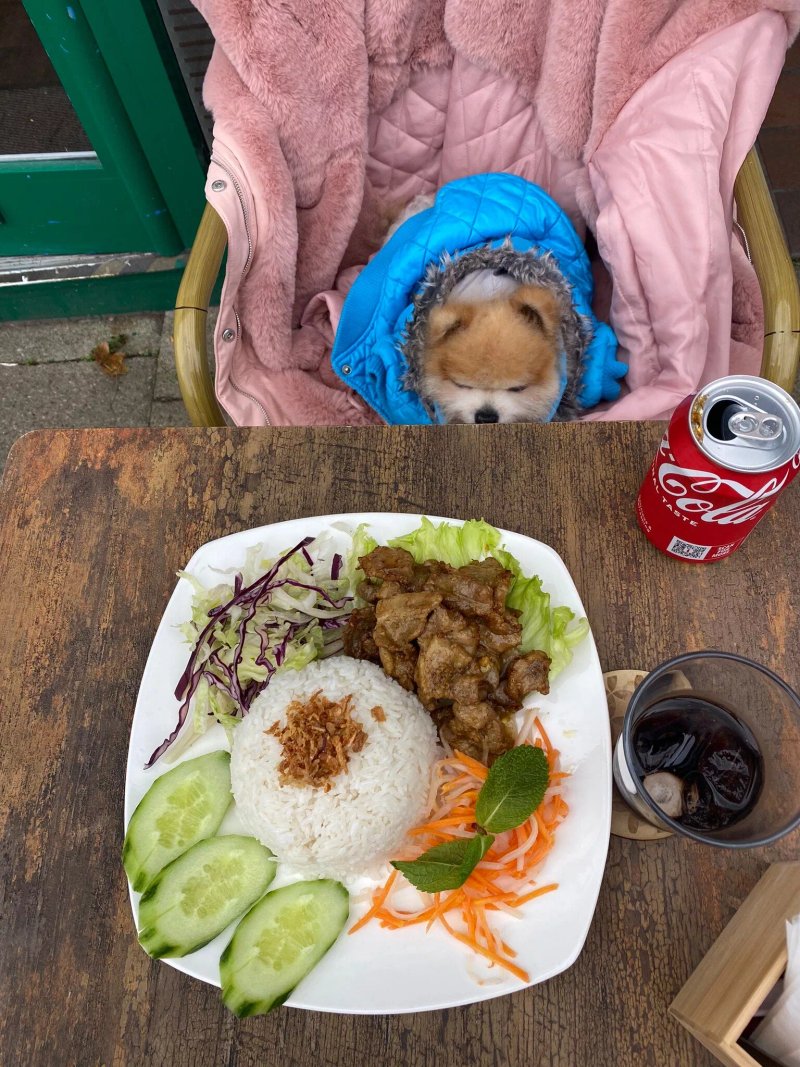 Xin Chao Vietnamese Street Food
