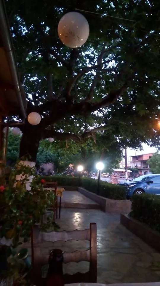 Taverna Rotisserie Vrachos