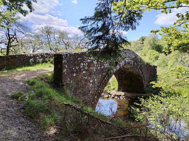 Kielder Cottage - E3533