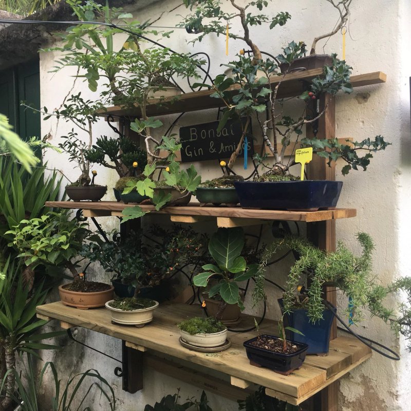 Casa Coimbra Guesthouse & Garden