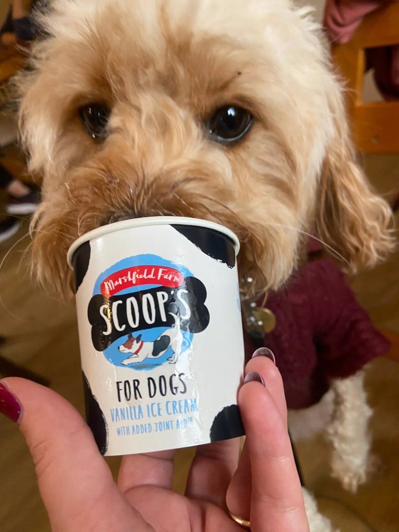 Carpenters Canteen Coffee Shop