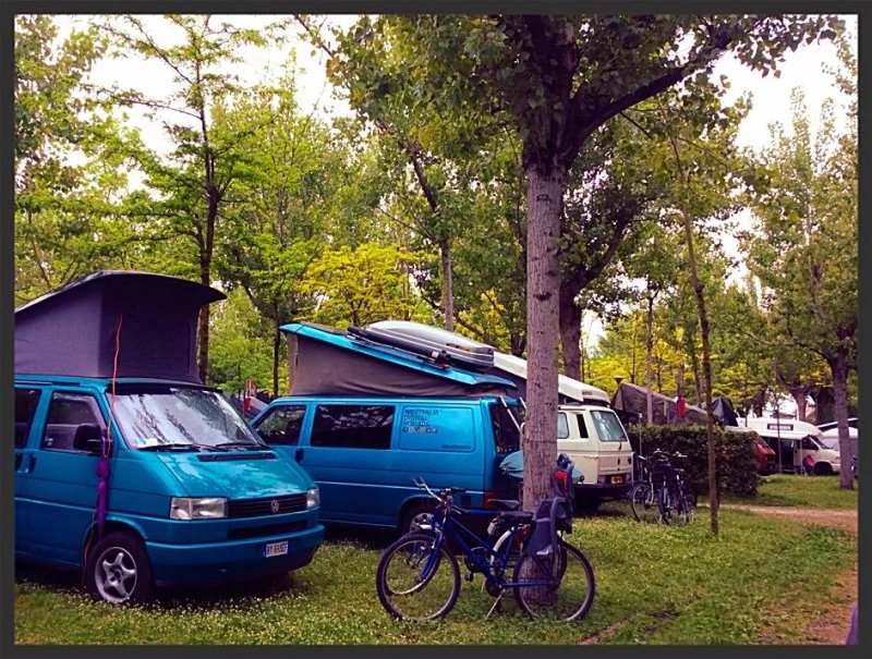 Camping La Pineta