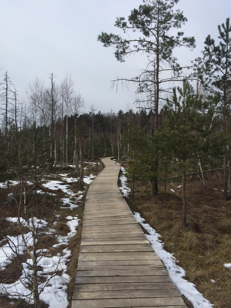 Dubrava Marsh Reserve