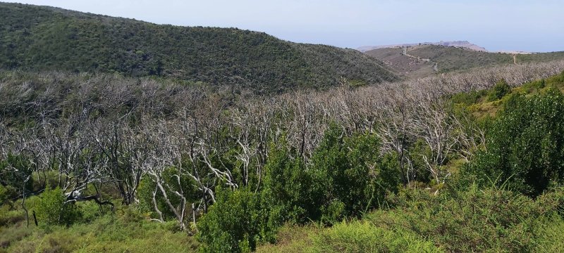 Mirador Del Cabezo Del Mocanillo