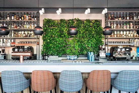 HERBARIUM Bar