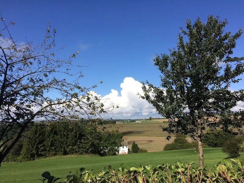 The EIFEL LANDHAUS Daleiden - peace, nature & valley views -  4000 sqm property