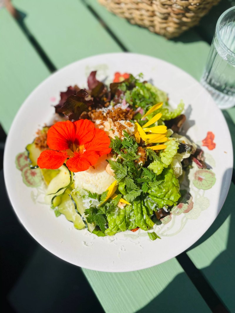 Bredsjo Ostcafe & Bondgardsbistro