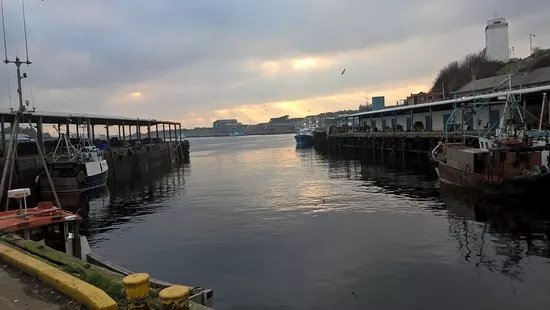 North Shields Fish Quay