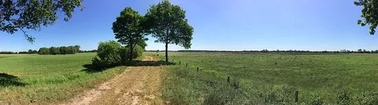 Nederheide