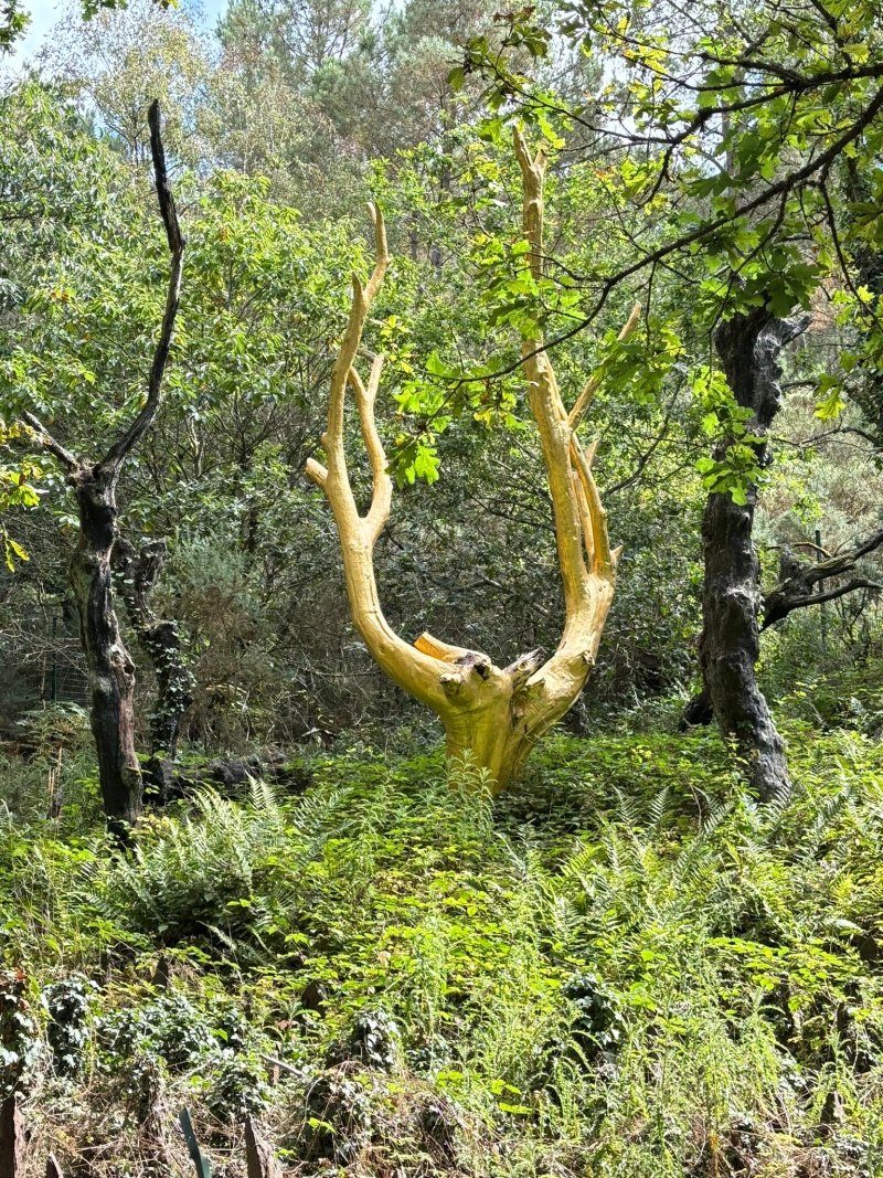 Caleche de Broceliande