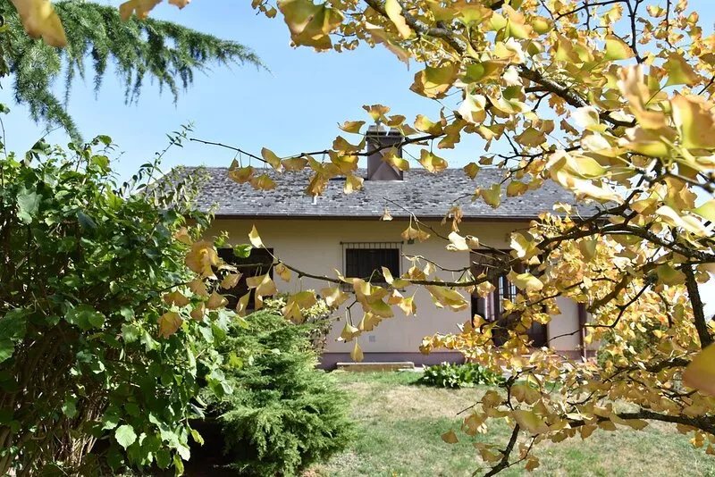 Gite de la Fontaine: gite *** on the heights of Val d´Argent center Alsace