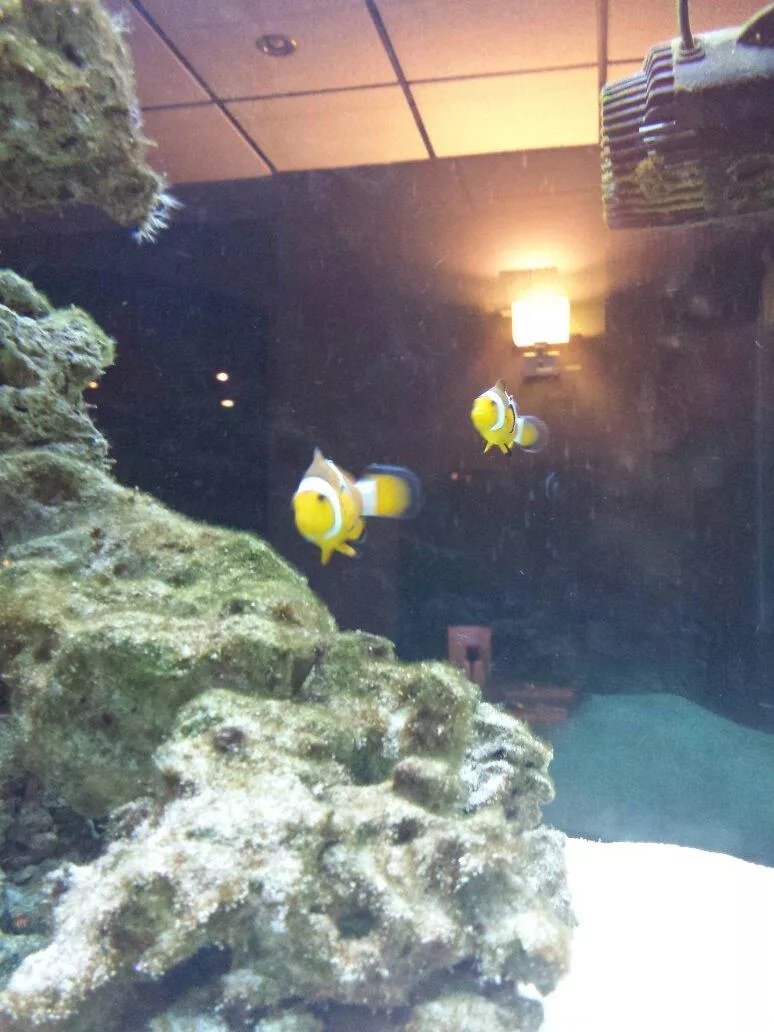 Yee Hong Restaurant