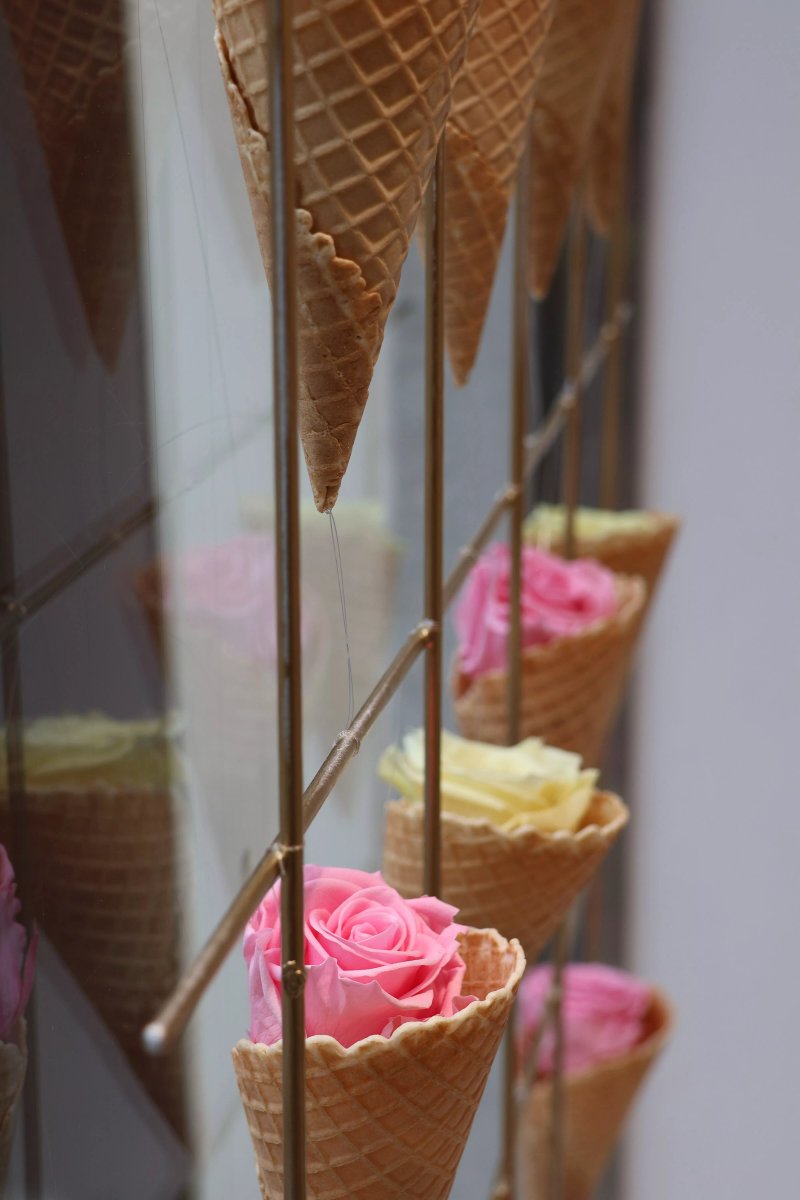 Mozart Gelato & Delights