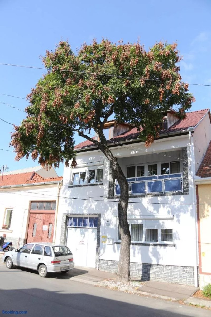 Hiv-Lak Apartman