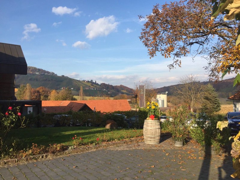 Weinhof Scharl