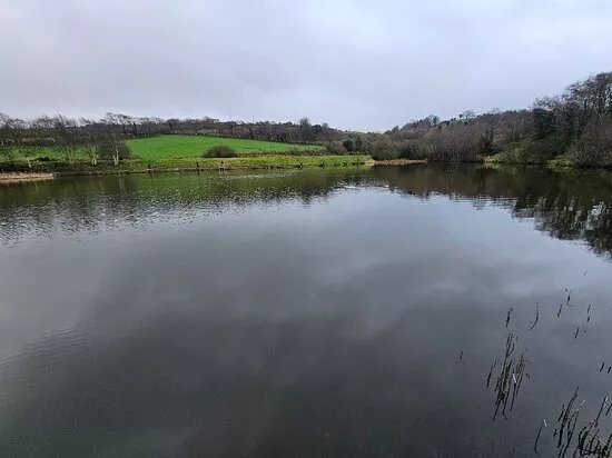 Hillside Trout Fishery