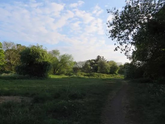 Kneller Gardens
