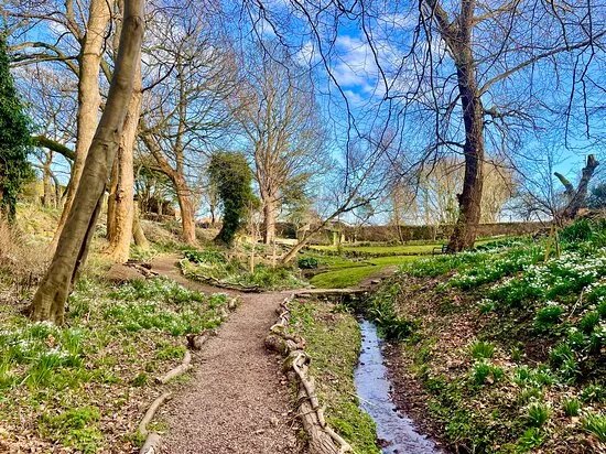 Denburn Wood