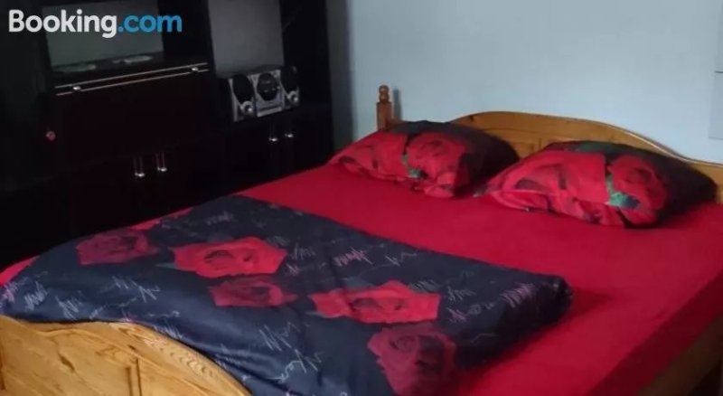 Hostel Mfenixs