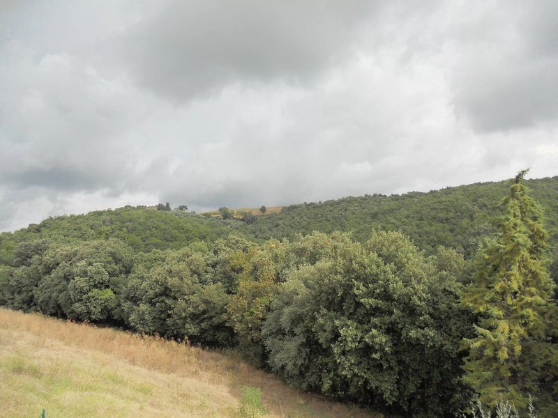 Palazzaccio Todi - Romantic stone house with views
