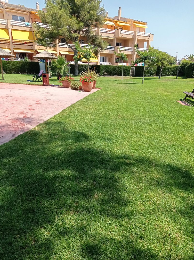 Residencial Guardamar Zeus