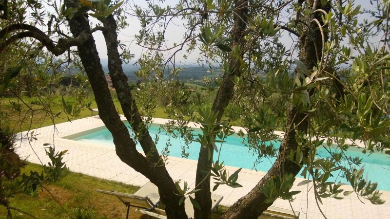 La Casaccia Guelfi